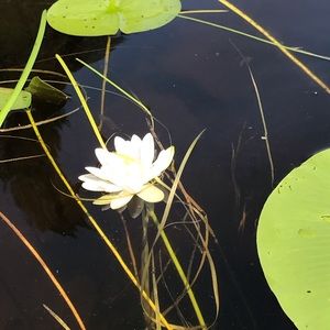 Meet your Posher, Marcy